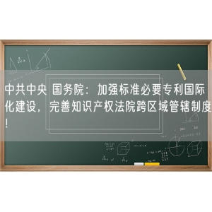 中共中央 国务院：加强标准必要专利国际化建设，完善知识产权法院跨区域管辖制度！