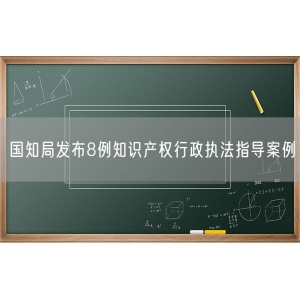 国知局发布8例知识产权行政执法指导案例